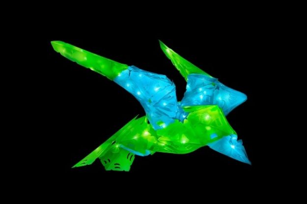 Bild von Kosmos Creatto Drache / Dragon - 03523