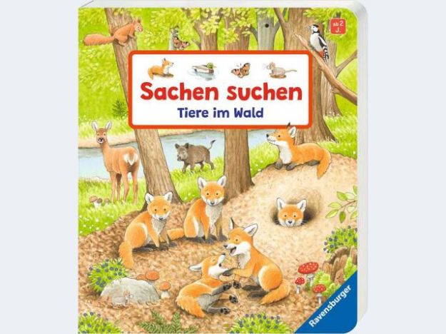 Bild von Sachen suchen: Tiere im Wald - 41748