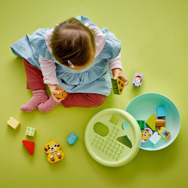 Bild von LEGO® DUPLO® - 10441 Formsortierer: Welpenhaus