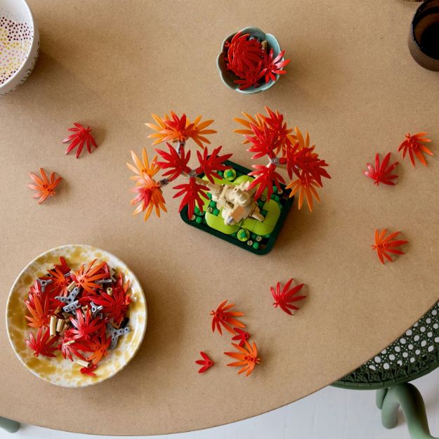 Bild von LEGO Botanicals - 10348 Japanischer Roter Ahorn – Bonsai-Baum