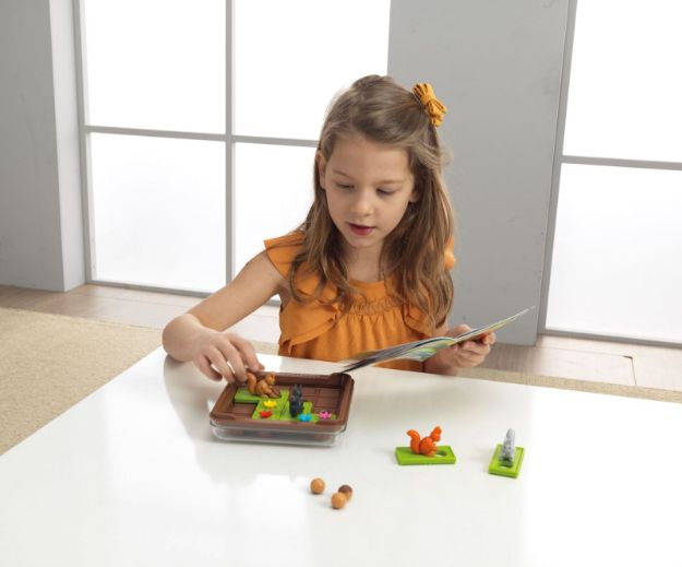 Bild von Smart Games Ran an die Nüsse! Kompaktspiel