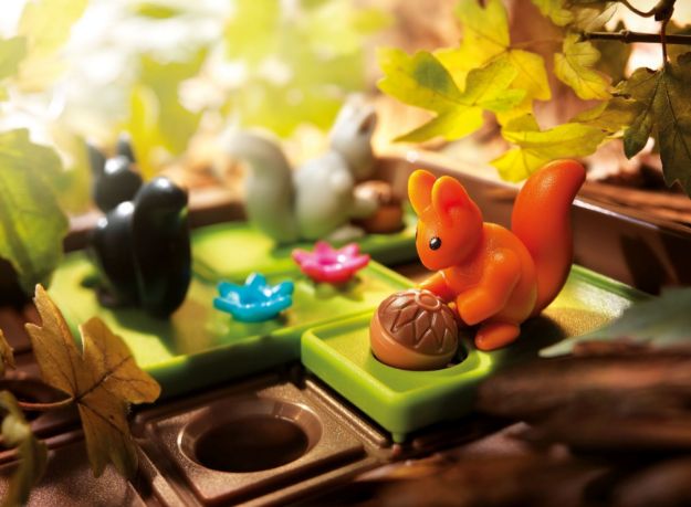 Bild von Smart Games Ran an die Nüsse! Kompaktspiel