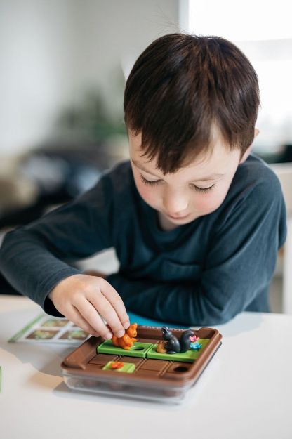 Bild von Smart Games Ran an die Nüsse! Kompaktspiel