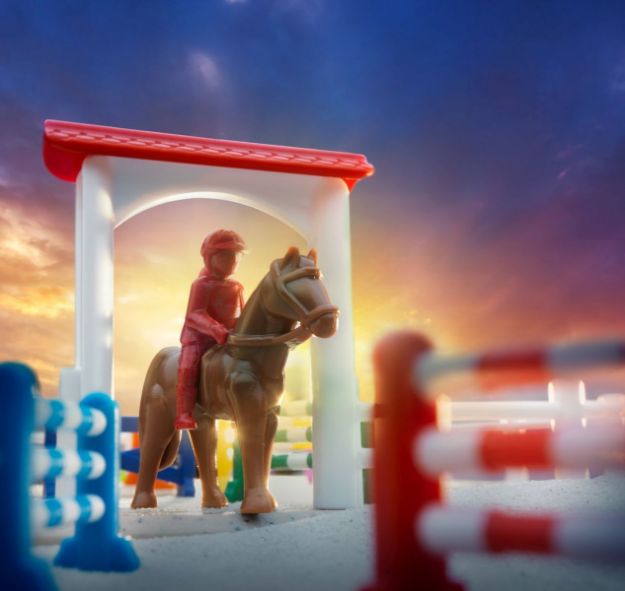 Bild von Smart Games Schwing die Hufe