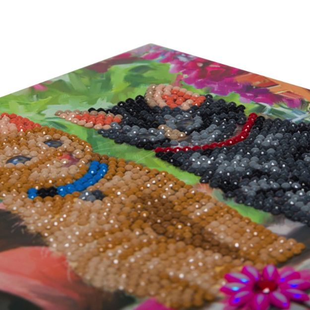 Bild von Crystal Art Katzenfreunde 18x18cm - CCK-A53