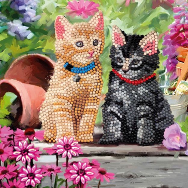 Bild von Crystal Art Katzenfreunde 18x18cm - CCK-A53