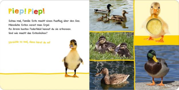 Bild von Hör mal rein, wer kann das sein? Natur - 1677-7