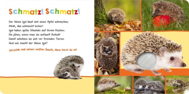 Bild von Hör mal rein, wer kann das sein? Natur - 1677-7