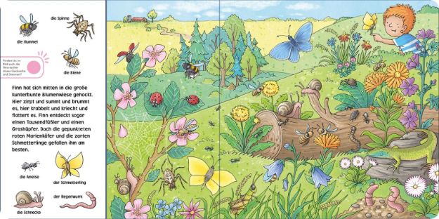 Bild von Hör mal (Soundbuch): Wimmelbuch: Wald und Wiese - 25200-5