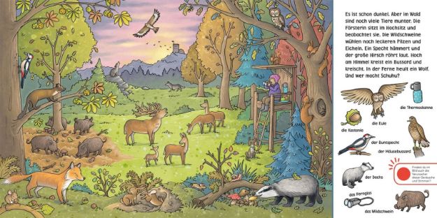 Bild von Hör mal (Soundbuch): Wimmelbuch: Wald und Wiese - 25200-5