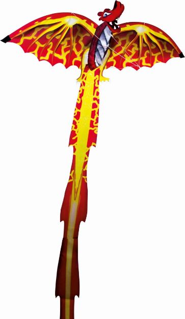 Bild von Dragon 3D Einleinerdrachen ca. 102 x 320 cm - 1136