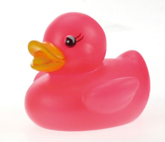 Bild von LENA Racing Duck, ca. 6 cm, in verschiedenen Ausführungen, sortiert - 65531