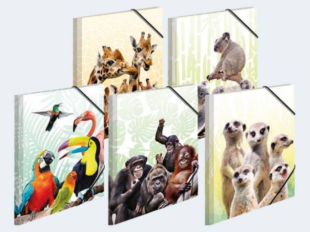 Bild von 10 Sammelmappen A4 PP Exotische Tiere - verschiedene Motive - 19956