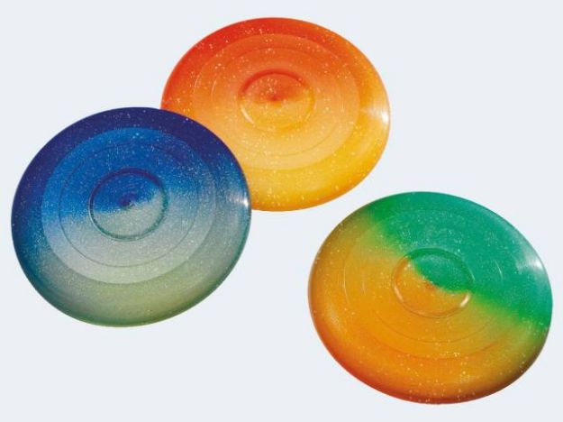 Bild von Wurfscheibe 27cm bunt - 77/A