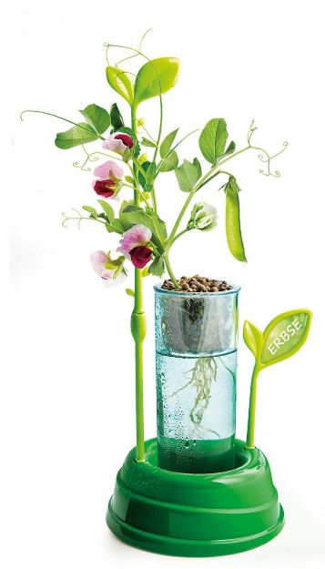 Bild von Clementoni Galileo- Botanik und Hydrokultur - 59065