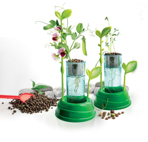 Bild von Clementoni Galileo- Botanik und Hydrokultur - 59065