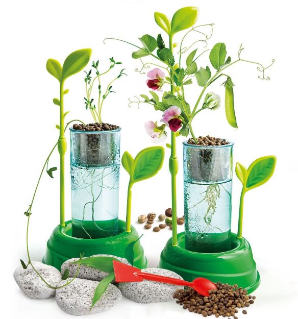 Bild von Clementoni Galileo- Botanik und Hydrokultur - 59065