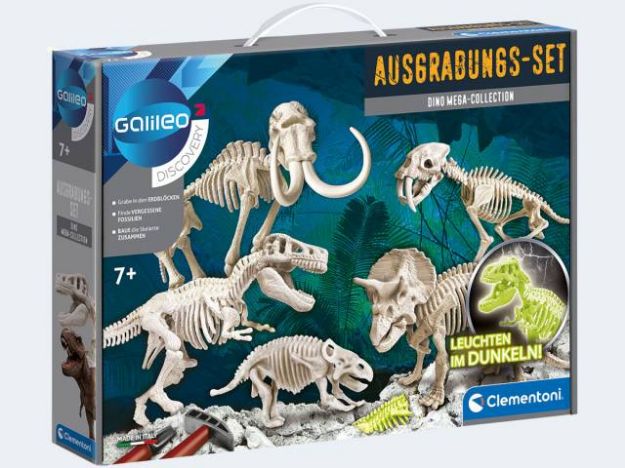 Bild von Galileo Ausgrabungsset Triceratops - 59258