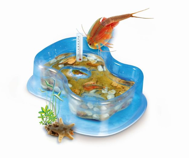 Bild von Clementoni Original Triops Starter-Set - 59259