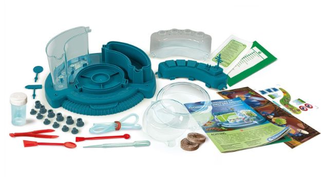 Bild von Entdecke die Welt der Ameisen - 59362