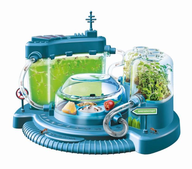 Bild von Entdecke die Welt der Ameisen - 59362