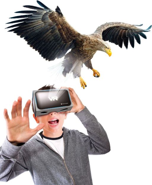 Bild von Galileo Entdeckungs-Set Tiere auf unserer Erde 8+