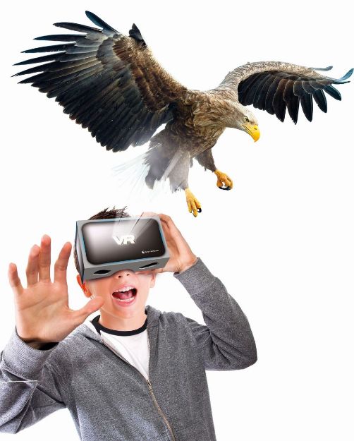 Bild von Galileo Entdeckungs-Set Tiere auf unserer Erde 8+