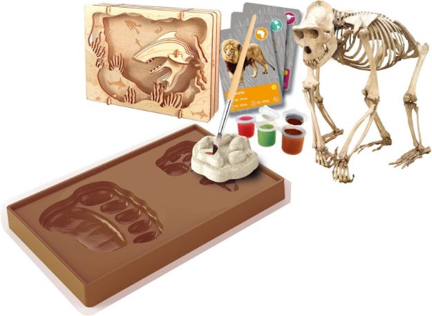 Bild von Galileo Entdeckungs-Set Tiere auf unserer Erde 8+