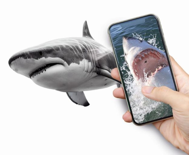 Bild von Galileo Entdeckungs-Set Tiere auf unserer Erde 8+