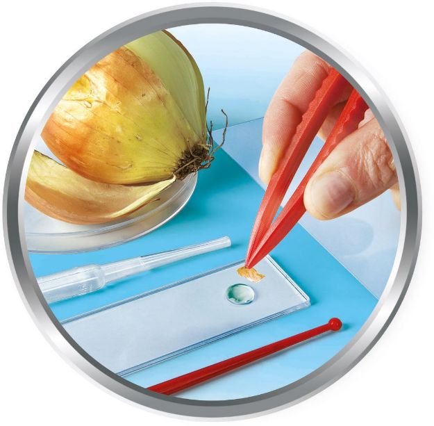 Bild von Clementoni Galileo - Natur unter dem Mikroskop - 69804.2