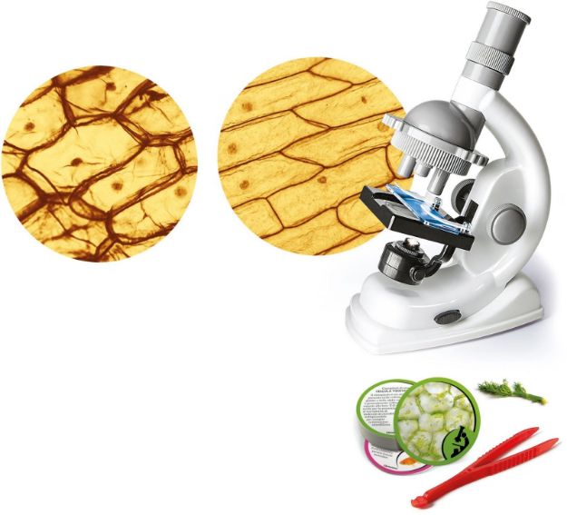 Bild von Clementoni Galileo - Natur unter dem Mikroskop - 69804.2