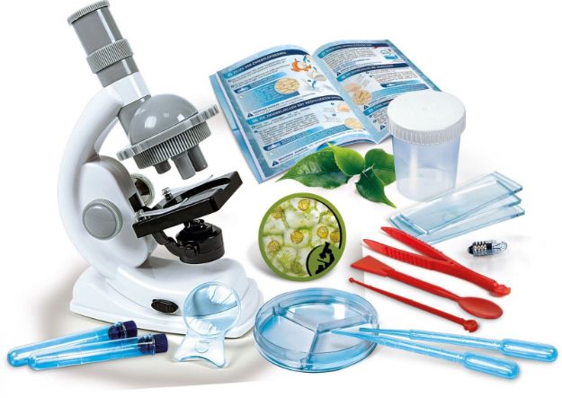 Bild von Clementoni Galileo - Natur unter dem Mikroskop - 69804.2