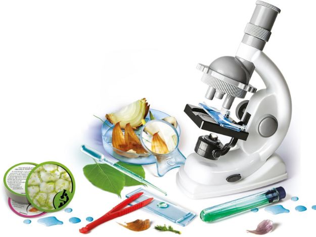 Bild von Clementoni Galileo - Natur unter dem Mikroskop - 69804.2