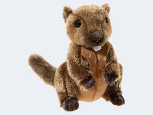 Bild von Alpenwelt Plüschtier 25cm Murmeltier - 288973