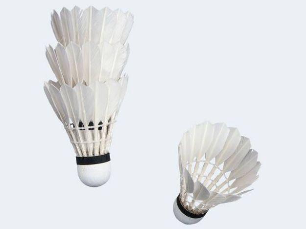 Bild von VIVA 4 Federbälle natur i Dose (nur für i+s) - 741-74107