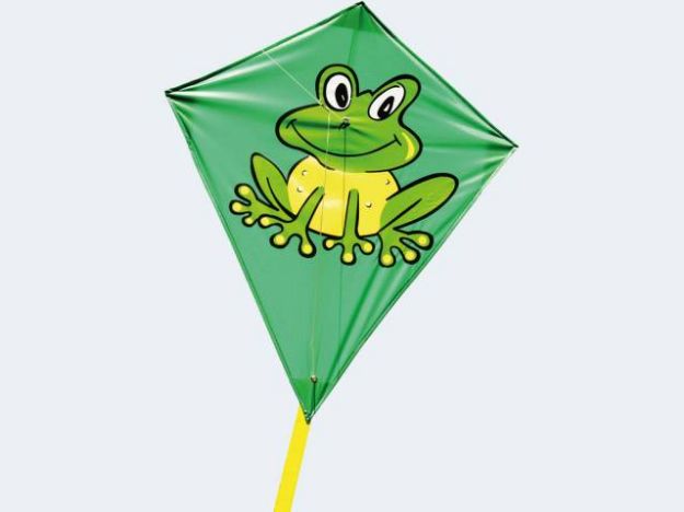 Bild von Brookite Flugdrachen Frosch 70cm (nur für i+s) - 829-03329