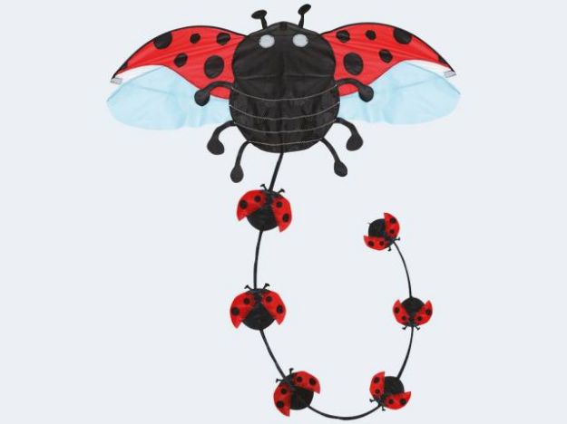 Bild von Brookite Flugdrachen Marienkäfer 88cm (nur für i+s - 829-30038