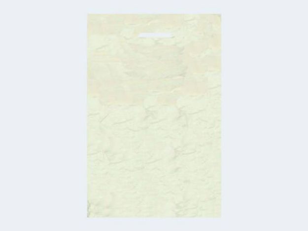 Bild von 100 Niederdruckbeutel 20x27cm - SA 1602