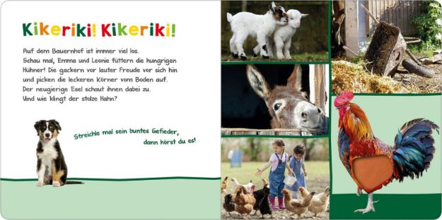 Bild von Hör mal rein, wer kann das sein? – Auf dem Bauernhof - 4558-6