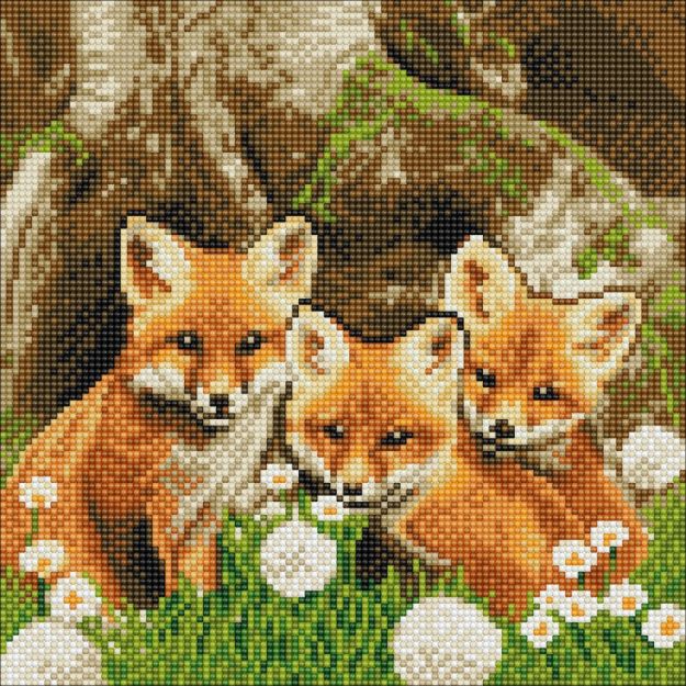 Bild von Crystal Art Fuchswelpen 30x30 cm - CAK-A116M
