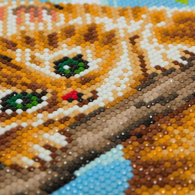 Bild von Crystal Art Leinwand Kätzchen mit Kirschen 30x30 cm - CAK-A73