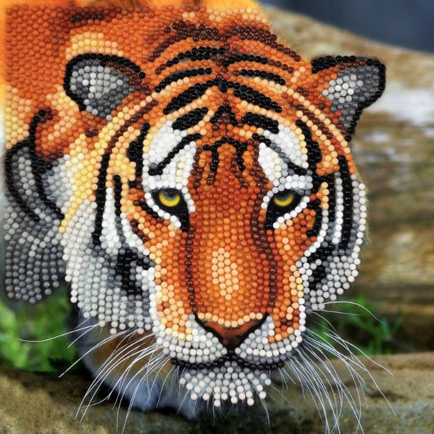 Bild von Crystal Art Tiger 18x18cm - CCK-A40