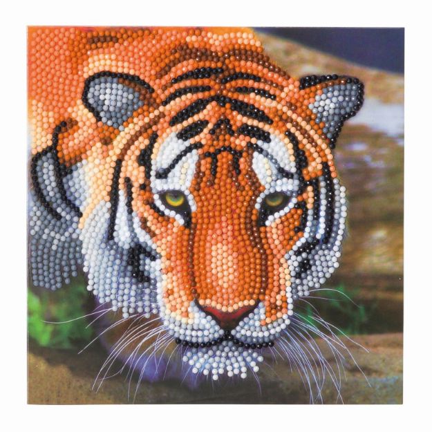 Bild von Crystal Art Tiger 18x18cm - CCK-A40