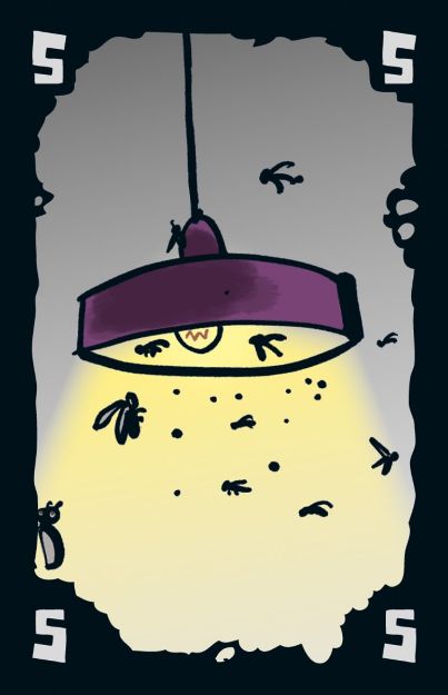 Bild von Schmidt Spiele DREI MAGIER SPIELE Mogel Motte - 40862