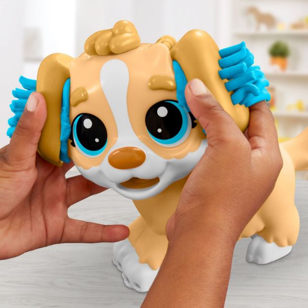 Bild von PD Tierarzt Knetset - F36395L0