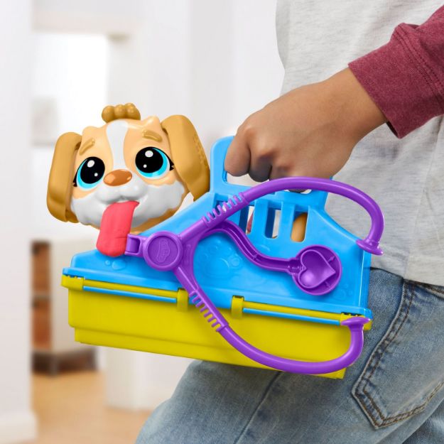 Bild von PD Tierarzt Knetset - F36395L0