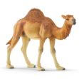 Bild von schleich® Wild Life 14832 Dromedar