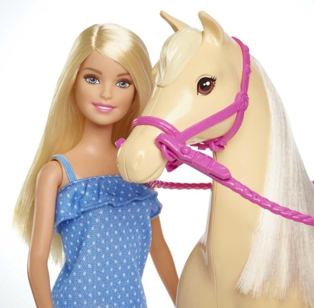 Bild von Mattel FXH13 Barbie® Pferd & Puppe
