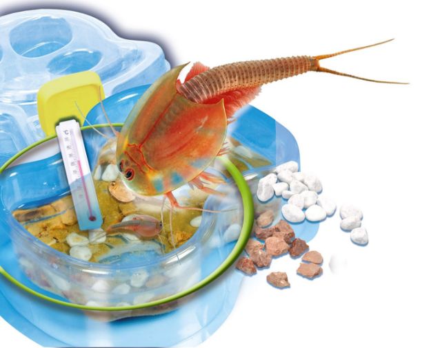 Bild von Clementoni Galileo - Original Triops Nachfüllset - 69935.3