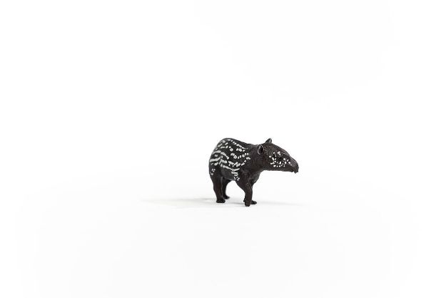 Bild von schleich® Wild Life 14851 Tapir Junges